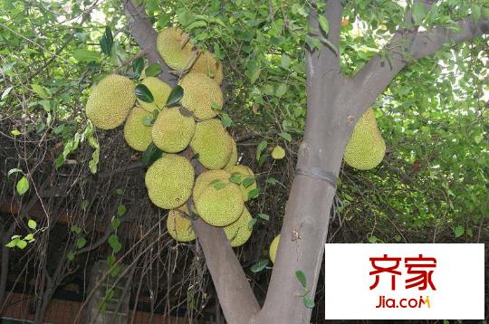祥利上城小區(qū)園林（2012-6-28）