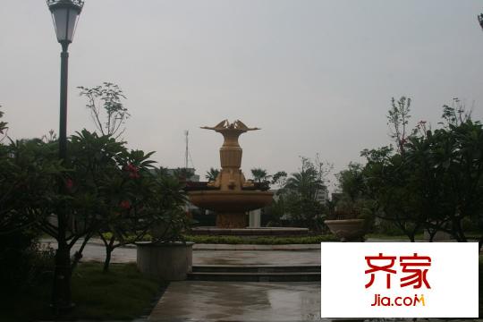 富盈御荷雨中御荷2012-8-22