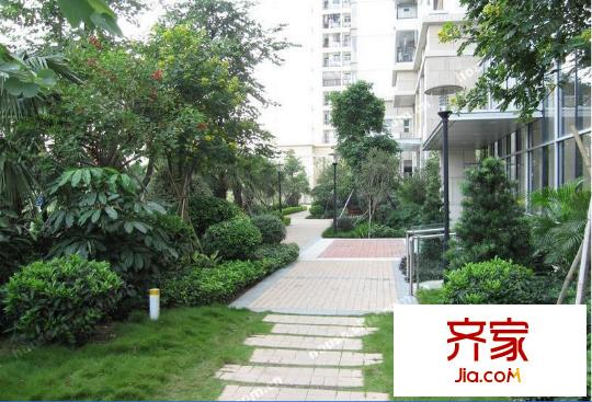 濱江豪園園林實景圖（2012-3-14）