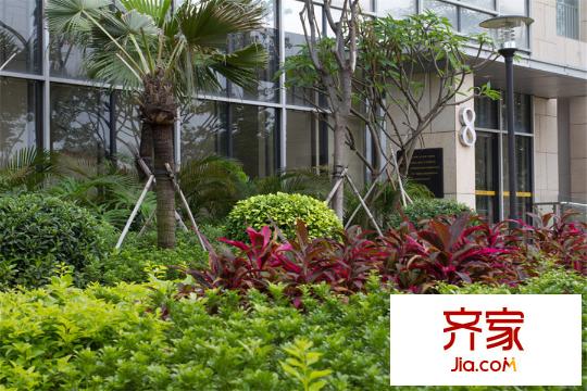 莊士8號小區(qū)園林圖（2014-11-10）