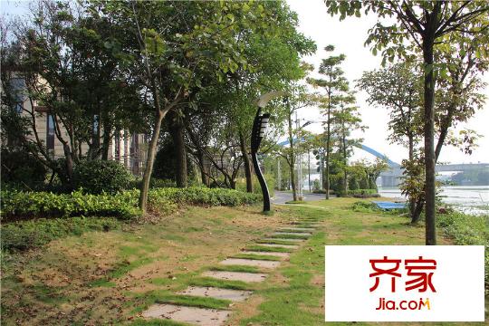 新世紀(jì)君匯半島小區(qū)園林（2015-5-5）