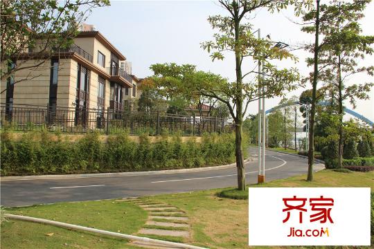 新世紀(jì)君匯半島小區(qū)園林（2015-5-5）