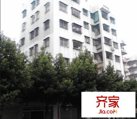 塘廈振興圍外景圖 