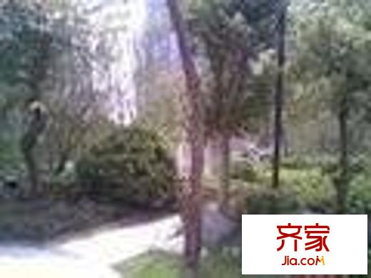 美好家園別墅外景圖美好家園實(shí)景圖