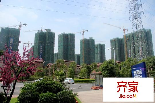 碧桂園豪庭三期（2015-9-17）