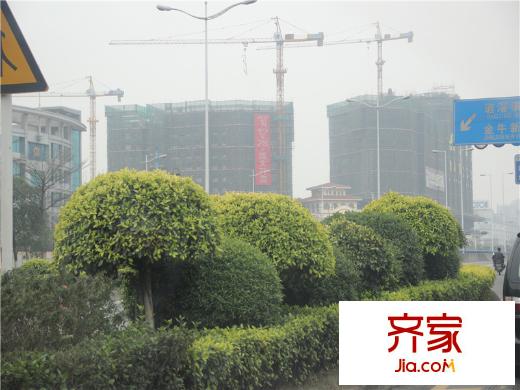 碧琴灣花園外部景觀圖（2014-2-26）