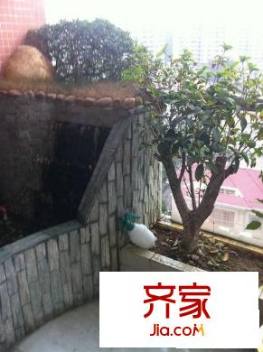 飛龍山莊別墅外景圖 