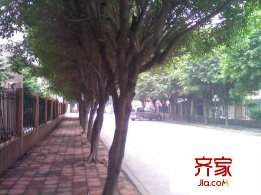 南柵富民花園別墅外景圖南柵富民花園（別墅） 
