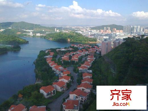 蓮花別墅外景圖 
