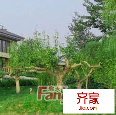 華美別墅區(qū)