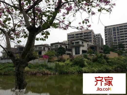 萬科虹溪諾雅別墅外景圖 