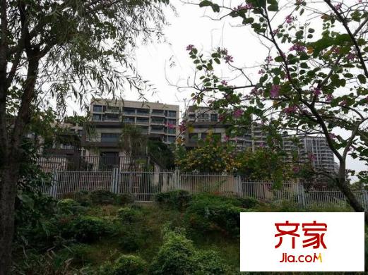萬科虹溪諾雅別墅外景圖 