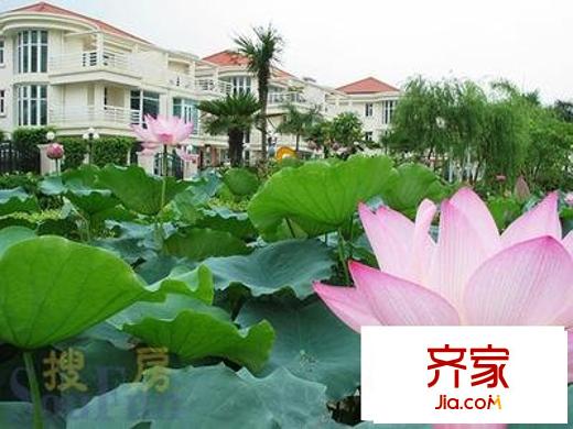 碧湖花園別墅外景圖碧湖花園