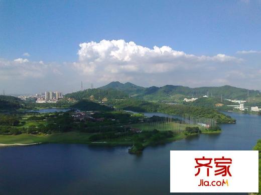 蓮花別墅外景圖 