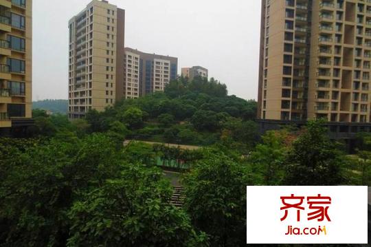 萬(wàn)科虹溪諾雅別墅外景圖 周邊配套