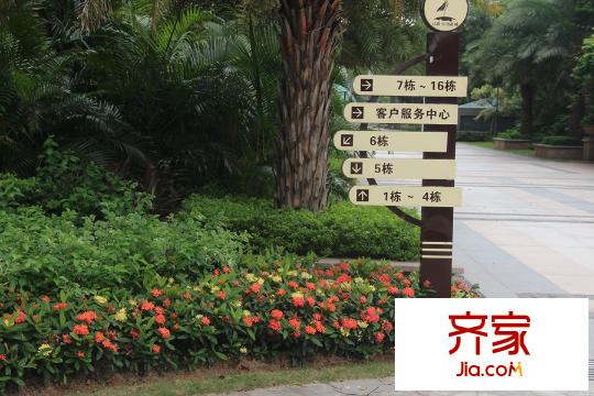 達(dá)鑫江濱新城小區(qū)園林（2015-7-22）