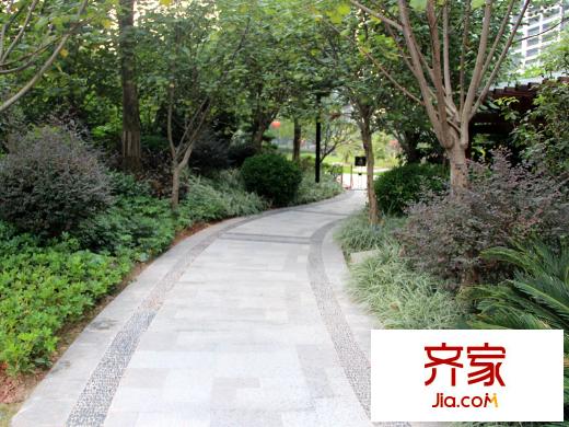 天驕峰景園林實(shí)景（2013-11-1）