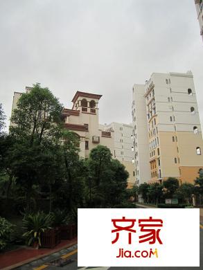 中惠香樟綠洲外景圖小區(qū)道路實景圖（2010.09.19）