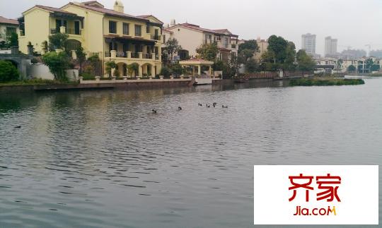 森林湖蘭溪谷實(shí)景圖湖濱美景（2012-2-29）