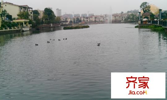 森林湖蘭溪谷實(shí)景圖湖濱棧道美景（2012-2-29）