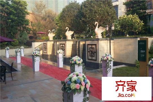 班芙春天園林（2015-10-22）
