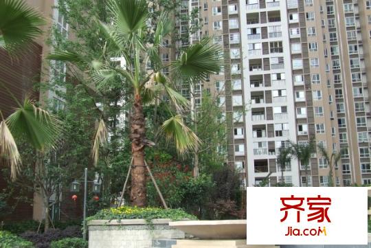 西西里外景圖