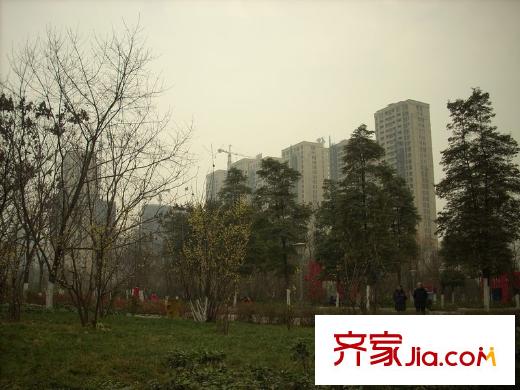 保利康橋項(xiàng)目旁沙河公園