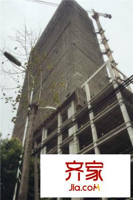 首席1號(hào)樓實(shí)景2015-3-30