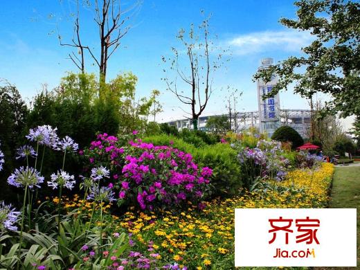 隆鑫十里畫卷景觀示范區(qū)（2014-7）