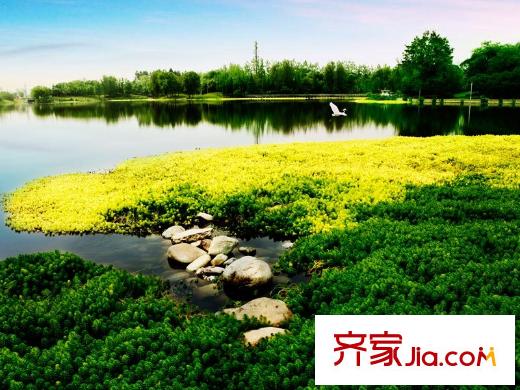 隆鑫十里畫卷藝術(shù)公園