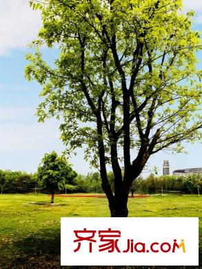 隆鑫十里畫卷藝術公園