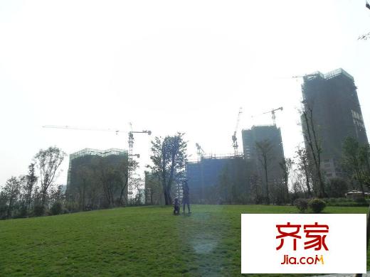 繽紛翡翠灣綠地實景（2015-1）