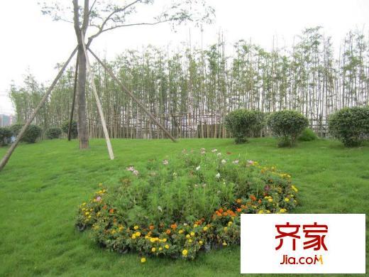 成都合院小區(qū)內(nèi)綠化景觀(2010.07)