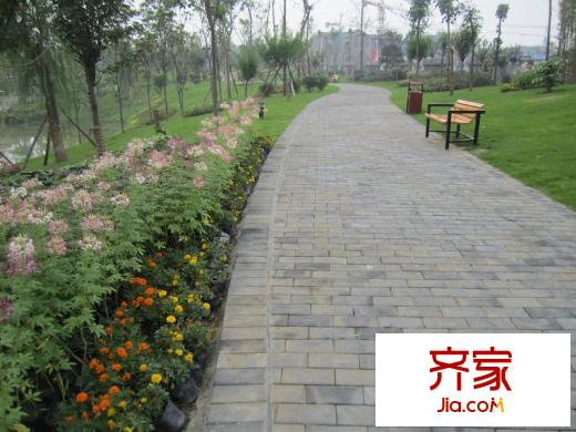成都合院小區(qū)內(nèi)綠化景觀(2010.07)