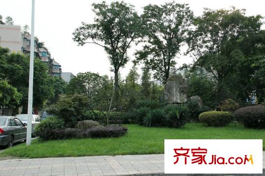 首席周邊市政綠化帶
