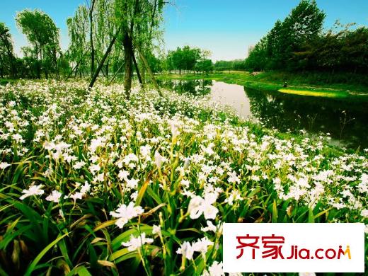 隆鑫十里畫卷藝術公園