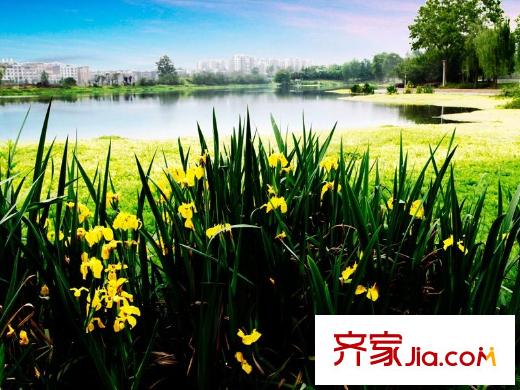 隆鑫十里畫卷藝術(shù)公園