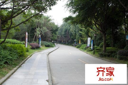 保利錦江里小區(qū)周邊道路實景（2015.11）