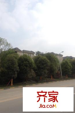 復(fù)地御香山3悅小區(qū)綠化（2015-3-29）