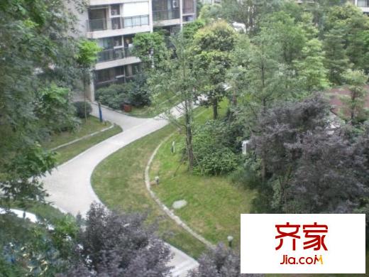 金泉陽光雅新苑外景圖