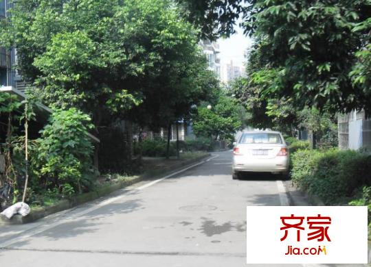 金泉陽光雅新苑外景圖