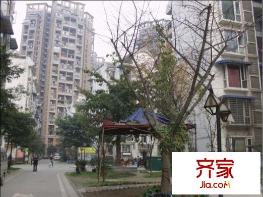金泉陽光雅新苑外景圖