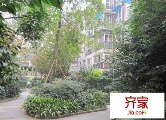 柳城陽光外景圖