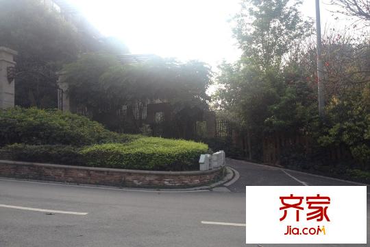 藍(lán)山國(guó)際爵悅半島內(nèi)部環(huán)境（2015-3-29）
