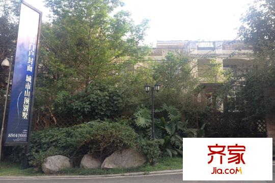 藍(lán)山國(guó)際爵悅半島小區(qū)綠化（2015-3-29）