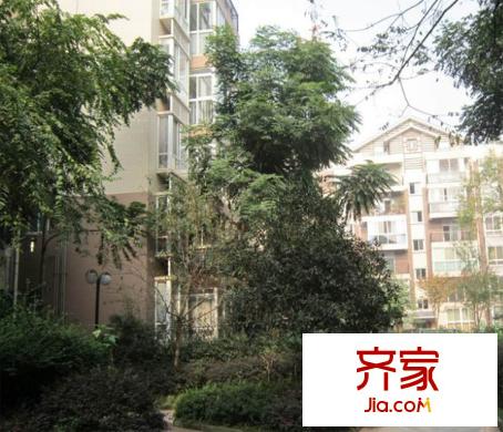 柳城陽光外景圖