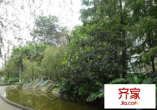 戛納灣畔外景圖
