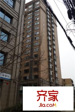 名城金典仰面（2015.3）