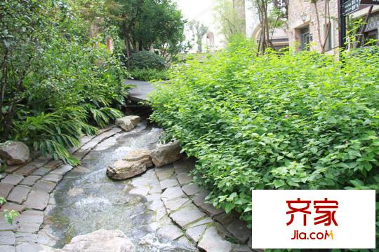 麓山國際社區(qū)云堤曦岸綠色植物（2015-12-25）