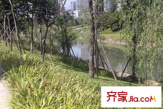 藝家CLASS周邊沿河綠化帶